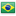PT-BR